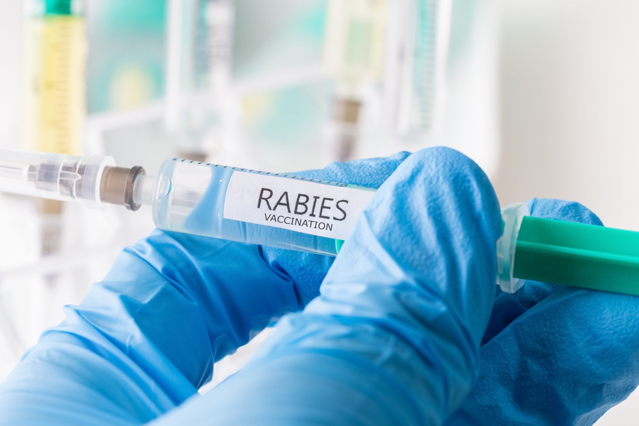 Image of Protect Your Pet from Rabies; Get Them Vaccinated at Upcoming Clinics (1)