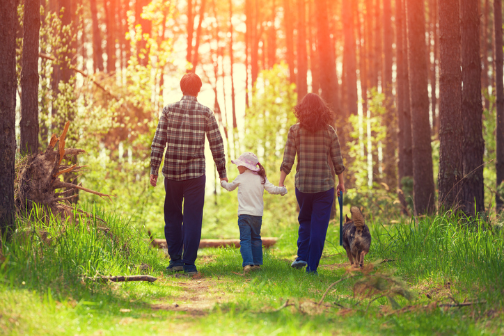 Image of Protect Yourself and Others Against Lyme Disease and West Nile Virus this Season