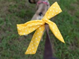 Yellow bow tied to a leash