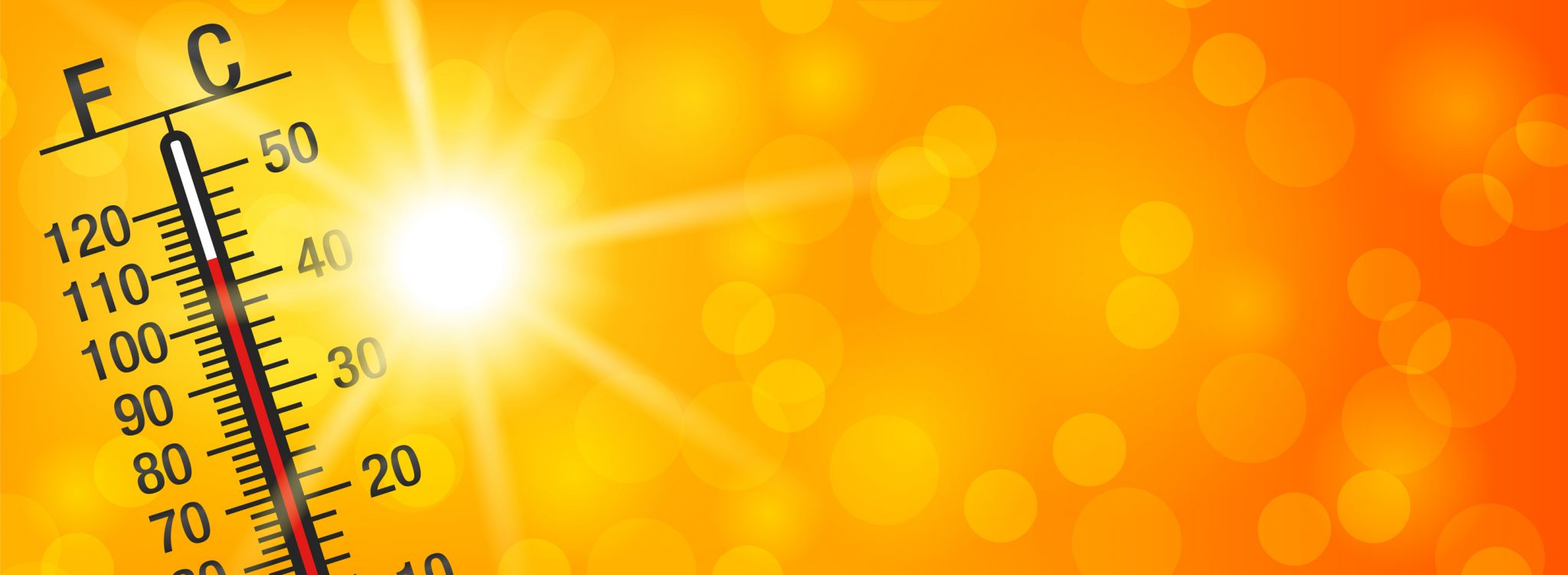 Image of Environment Canada Issues Heat Alert for City of Kawartha Lakes